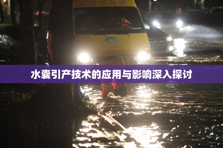水囊引产技术的应用与影响深入探讨