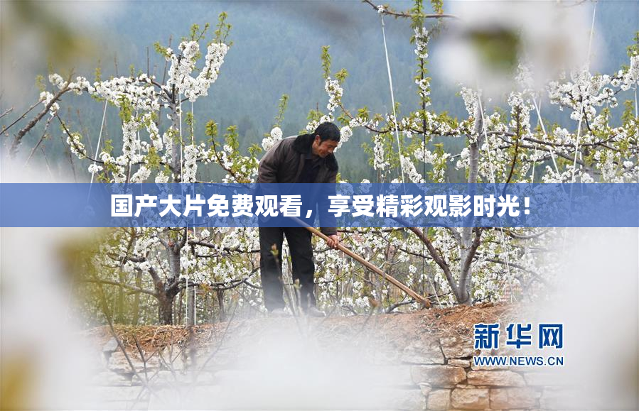 国产大片免费观看，享受精彩观影时光！
