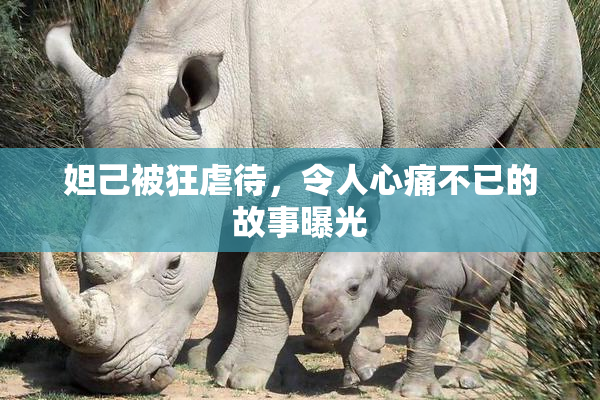 妲己被狂虐待，令人心痛不已的故事曝光
