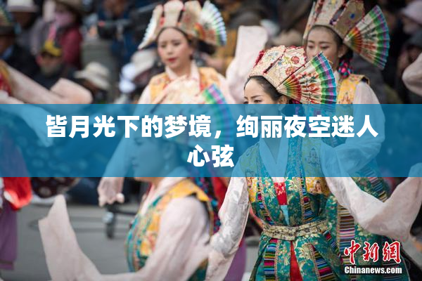 皆月光下的梦境，绚丽夜空迷人心弦