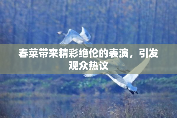 春菜带来精彩绝伦的表演，引发观众热议