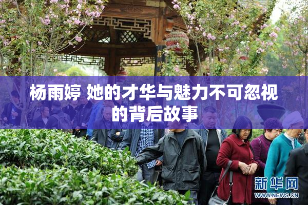 杨雨婷 她的才华与魅力不可忽视的背后故事