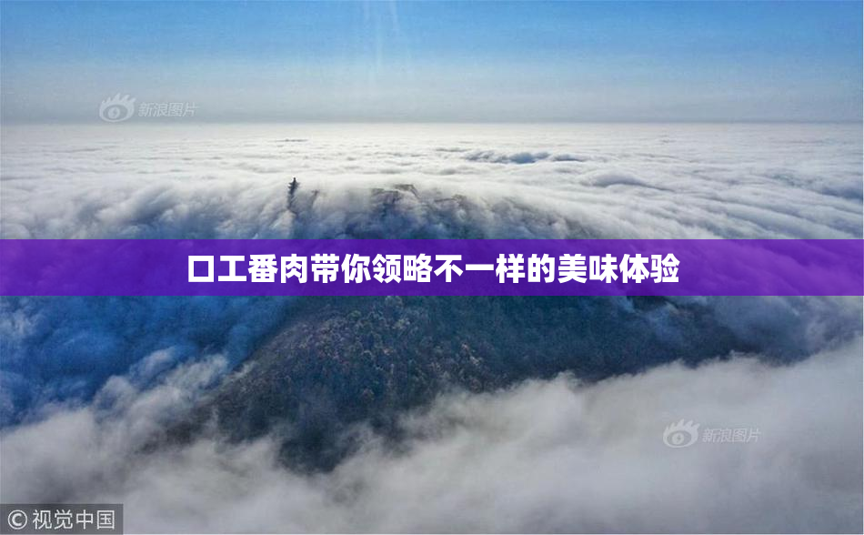 口工番肉带你领略不一样的美味体验