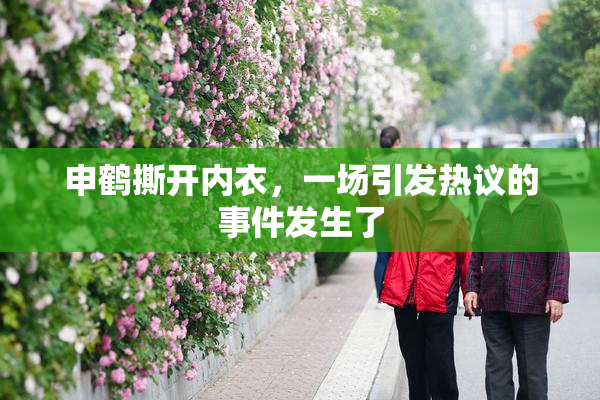 申鹤撕开内衣，一场引发热议的事件发生了