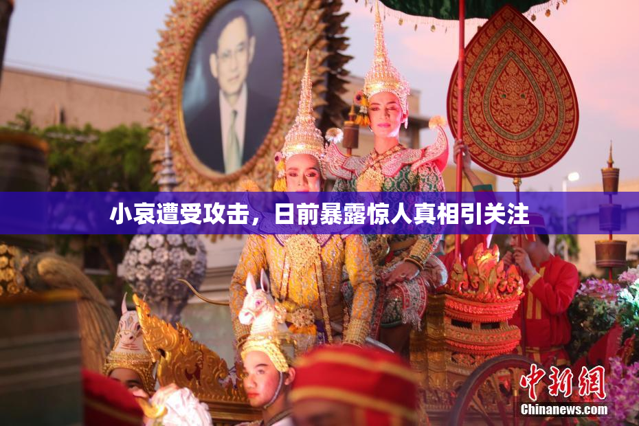 小哀遭受攻击，日前暴露惊人真相引关注