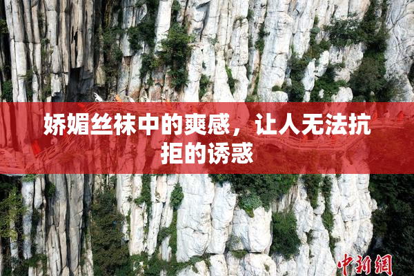 娇媚丝袜中的爽感，让人无法抗拒的诱惑