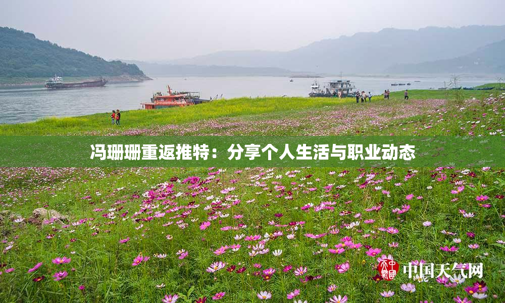 冯珊珊重返推特：分享个人生活与职业动态