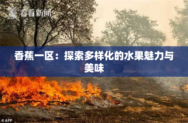 香蕉一区：探索多样化的水果魅力与美味