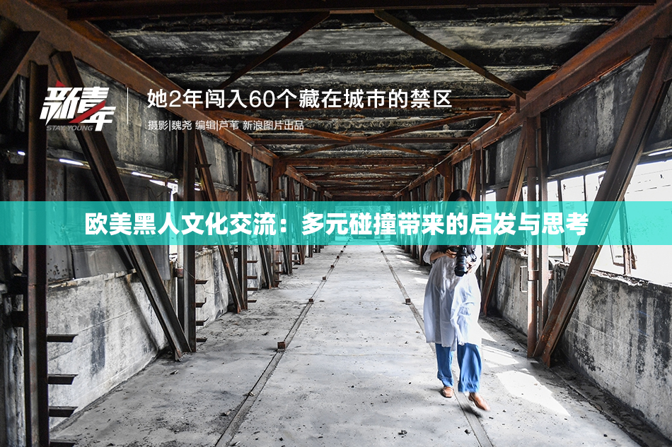 欧美黑人文化交流：多元碰撞带来的启发与思考