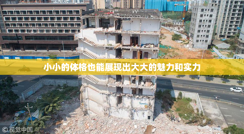 小小的体格也能展现出大大的魅力和实力