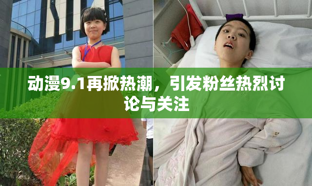 动漫9.1再掀热潮，引发粉丝热烈讨论与关注