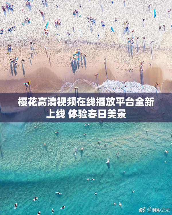 樱花高清视频在线播放平台全新上线 体验春日美景
