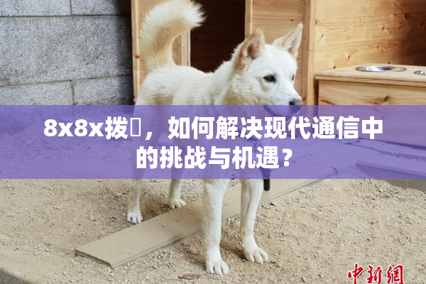 8x8x拨牐，如何解决现代通信中的挑战与机遇？
