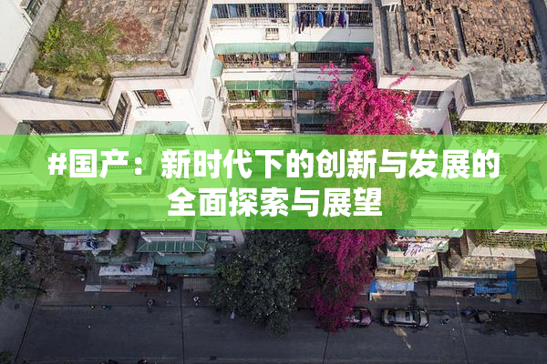 #国产：新时代下的创新与发展的全面探索与展望