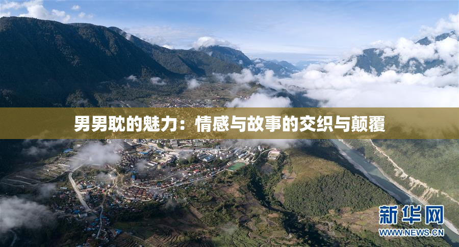 男男耽的魅力：情感与故事的交织与颠覆