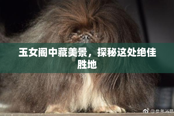 玉女阁中藏美景，探秘这处绝佳胜地
