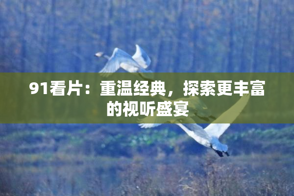 91看片：重温经典，探索更丰富的视听盛宴