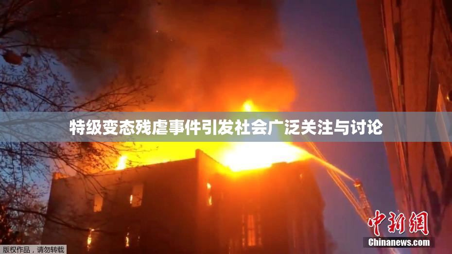 特级变态残虐事件引发社会广泛关注与讨论