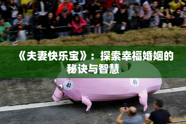 《夫妻快乐宝》：探索幸福婚姻的秘诀与智慧