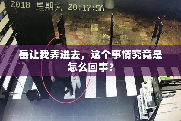 岳让我弄进去，这个事情究竟是怎么回事？