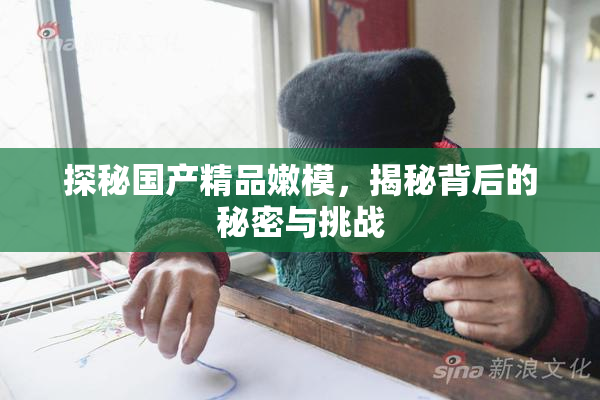 探秘国产精品嫩模，揭秘背后的秘密与挑战