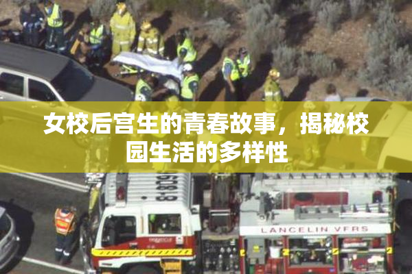 女校后宫生的青春故事，揭秘校园生活的多样性