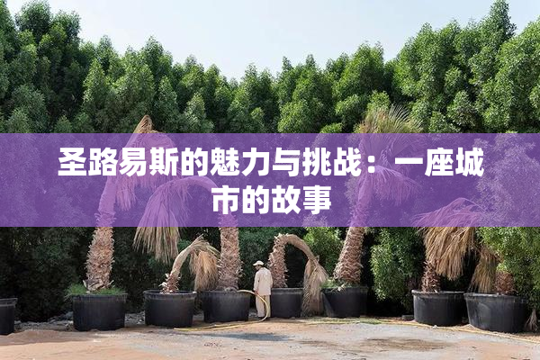 圣路易斯的魅力与挑战：一座城市的故事