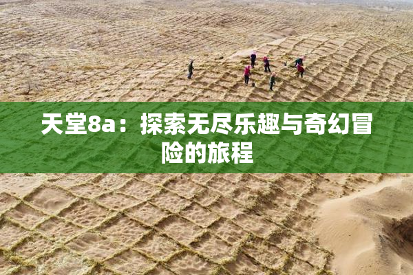天堂8a：探索无尽乐趣与奇幻冒险的旅程