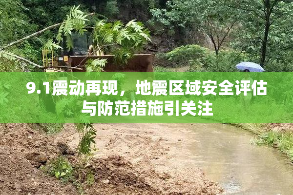 9.1震动再现，地震区域安全评估与防范措施引关注
