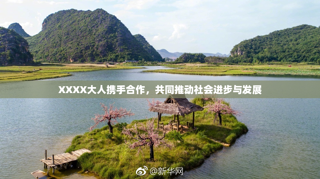 XXXX大人携手合作，共同推动社会进步与发展