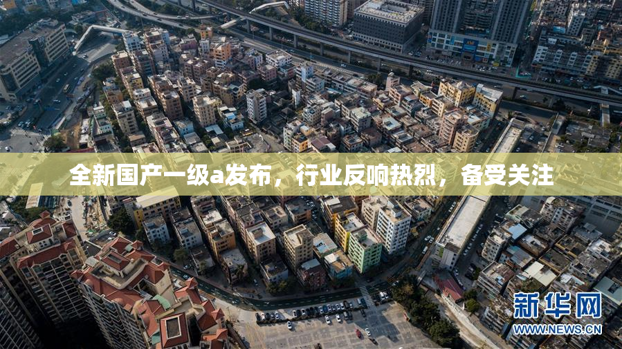 全新国产一级a发布，行业反响热烈，备受关注