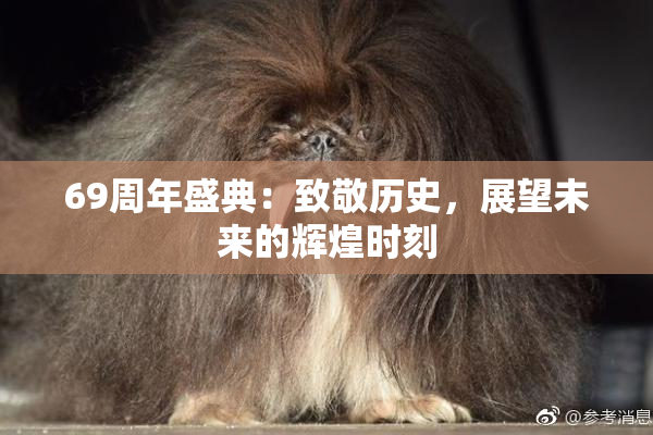 69周年盛典：致敬历史，展望未来的辉煌时刻