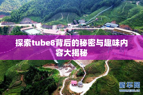 探索tube8背后的秘密与趣味内容大揭秘