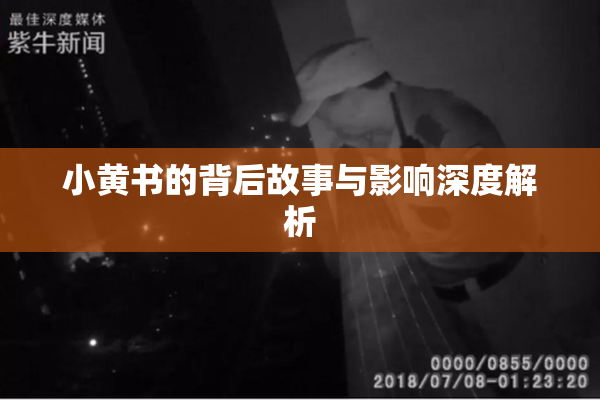小黄书的背后故事与影响深度解析