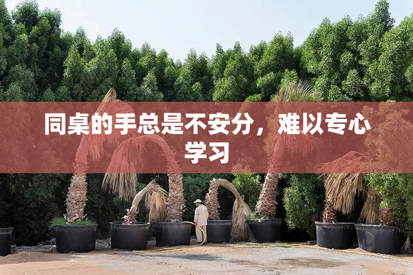 同桌的手总是不安分，难以专心学习