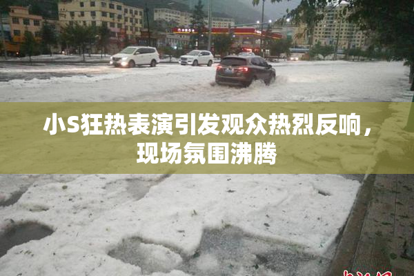 小S狂热表演引发观众热烈反响，现场氛围沸腾