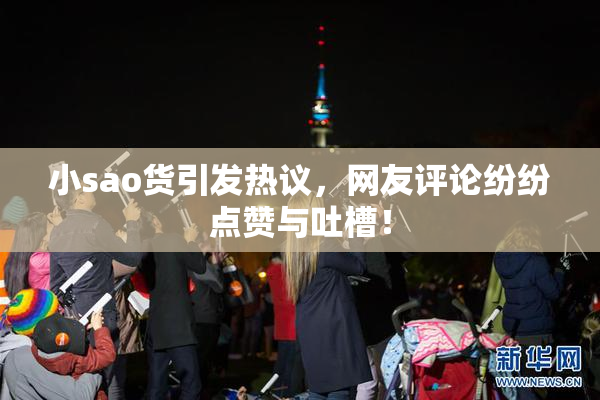 小sao货引发热议，网友评论纷纷点赞与吐槽！