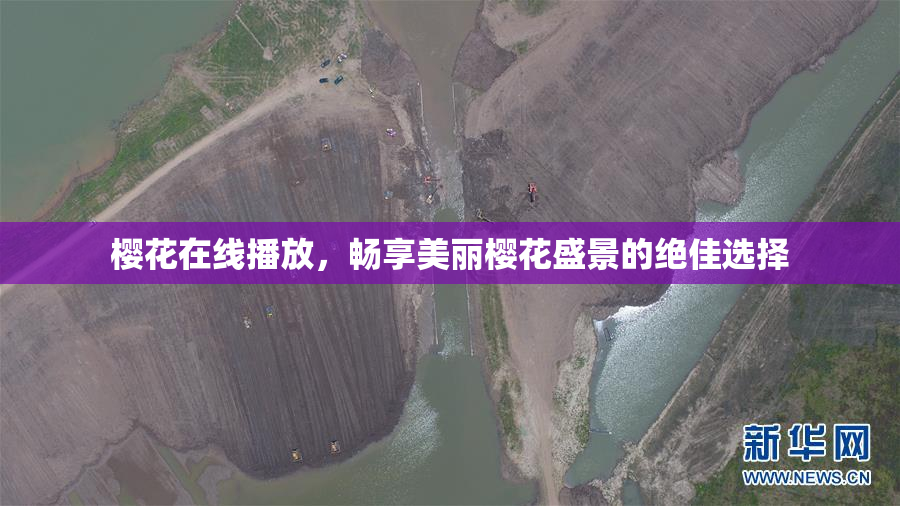 樱花在线播放，畅享美丽樱花盛景的绝佳选择