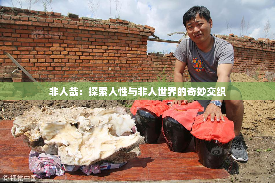 非人哉：探索人性与非人世界的奇妙交织
