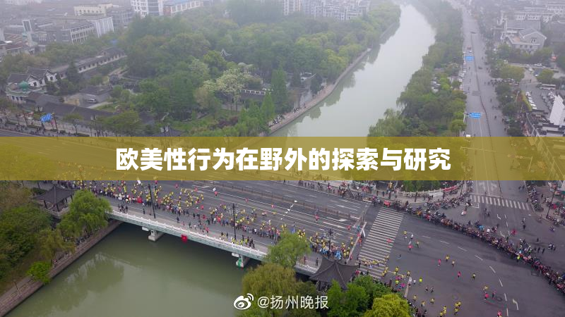 欧美性行为在野外的探索与研究