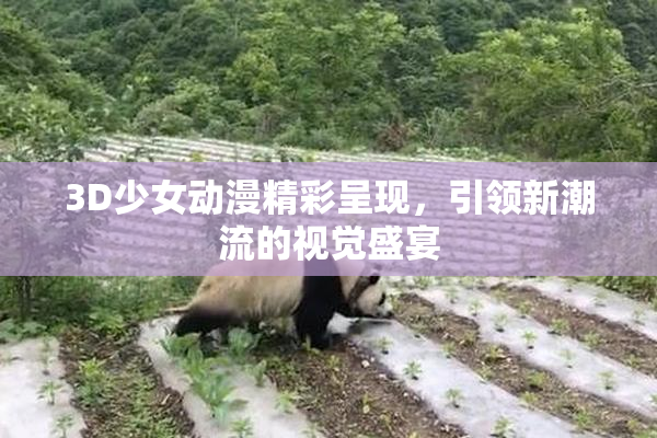 3D少女动漫精彩呈现，引领新潮流的视觉盛宴
