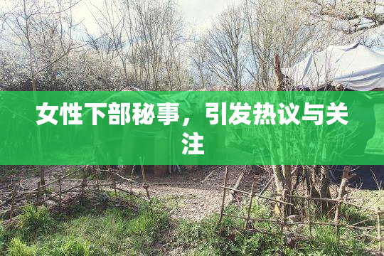 女性下部秘事，引发热议与关注