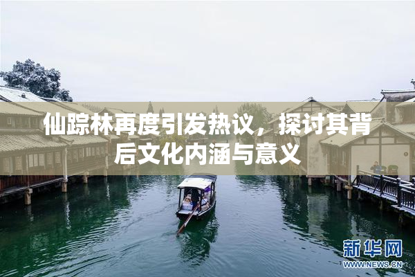 仙踪林再度引发热议，探讨其背后文化内涵与意义