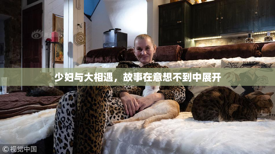 少妇与大相遇，故事在意想不到中展开