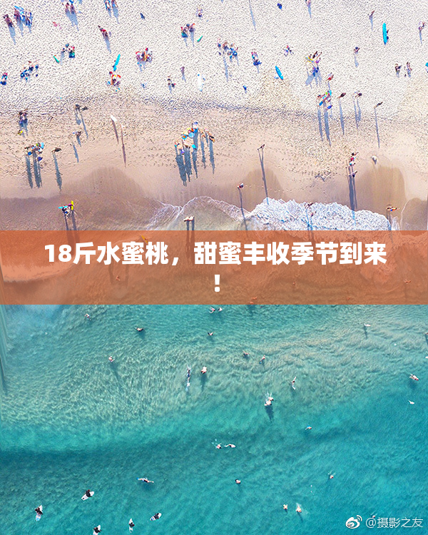 18斤水蜜桃，甜蜜丰收季节到来！