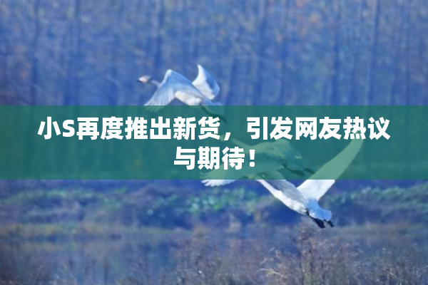 小S再度推出新货，引发网友热议与期待！
