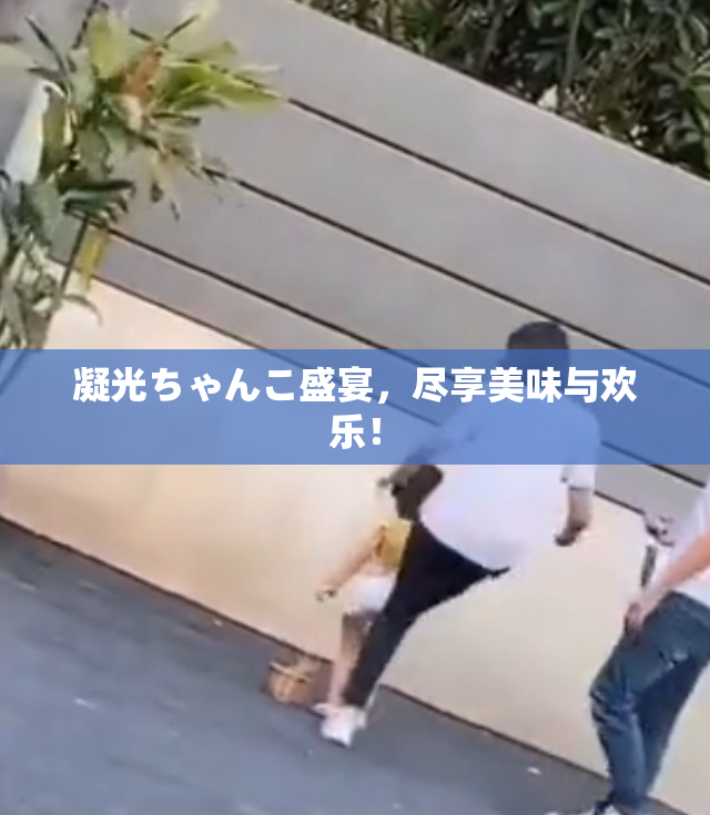 凝光ちゃんこ盛宴，尽享美味与欢乐！