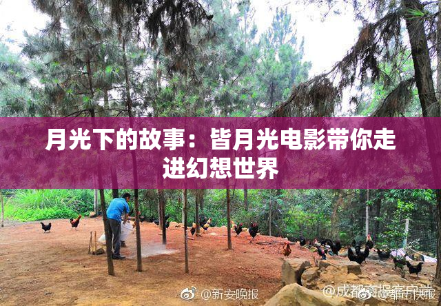 月光下的故事：皆月光电影带你走进幻想世界