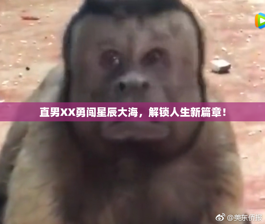 直男XX勇闯星辰大海，解锁人生新篇章！