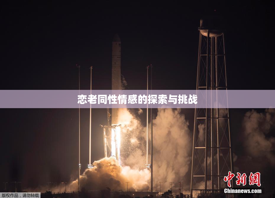 恋老同性情感的探索与挑战